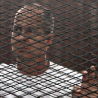 Peter Greste Freedom of the Press
