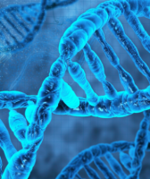 new human dna code shift of consciousness
